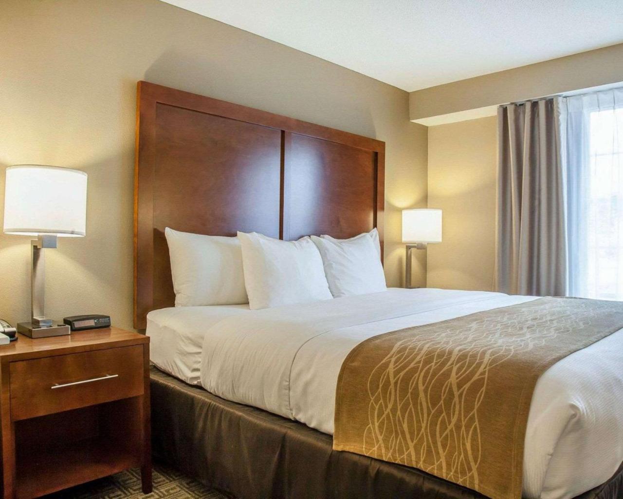 Comfort Inn & Suites Sturbridge-Brimfield Luaran gambar