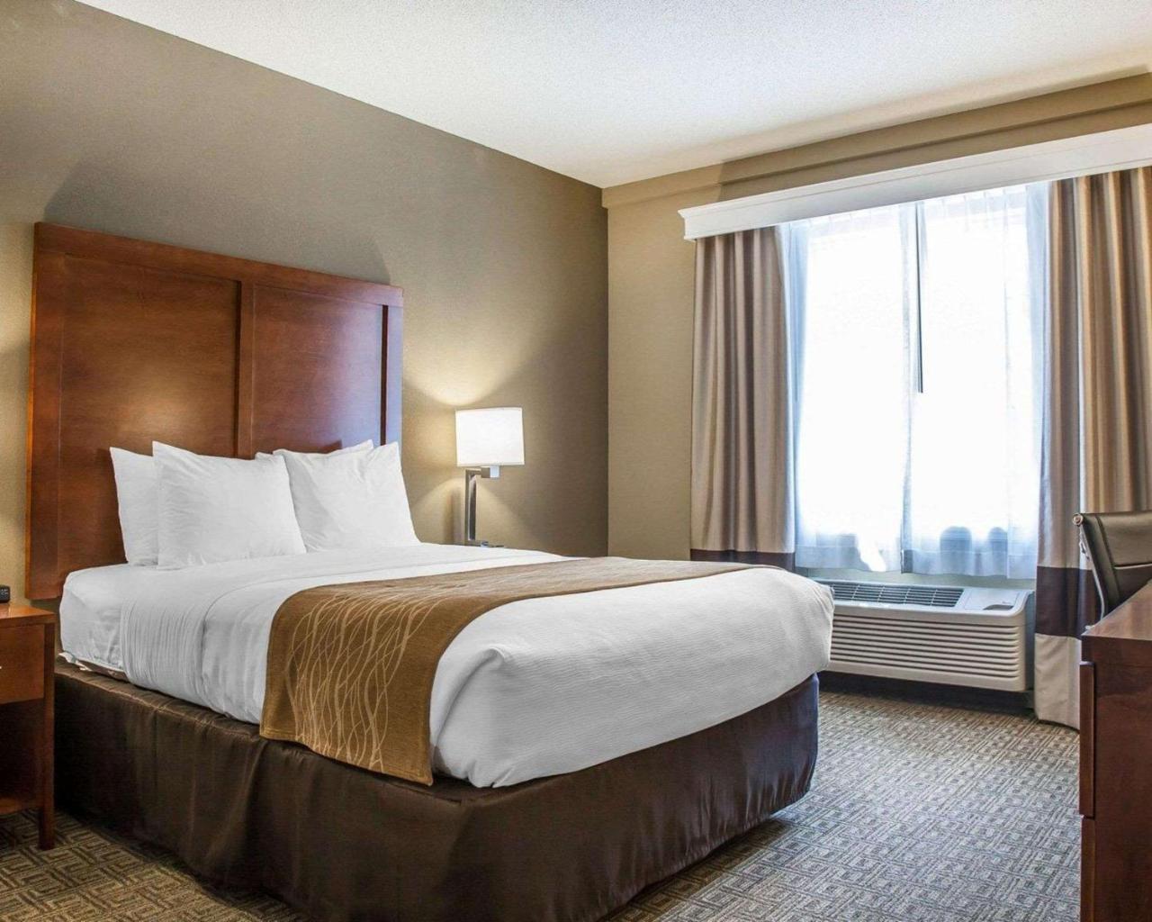 Comfort Inn & Suites Sturbridge-Brimfield Luaran gambar
