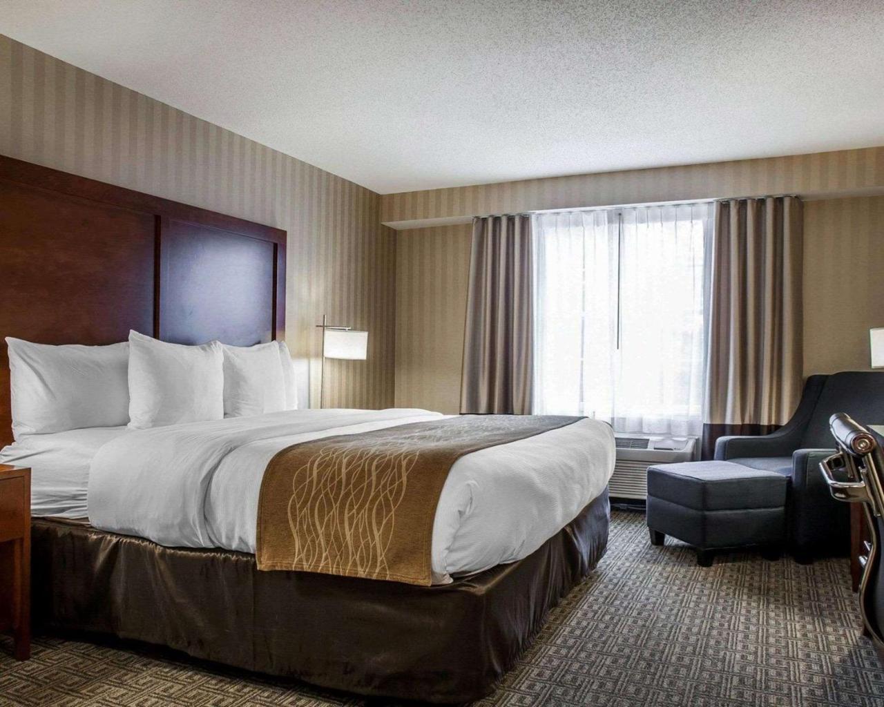 Comfort Inn & Suites Sturbridge-Brimfield Luaran gambar